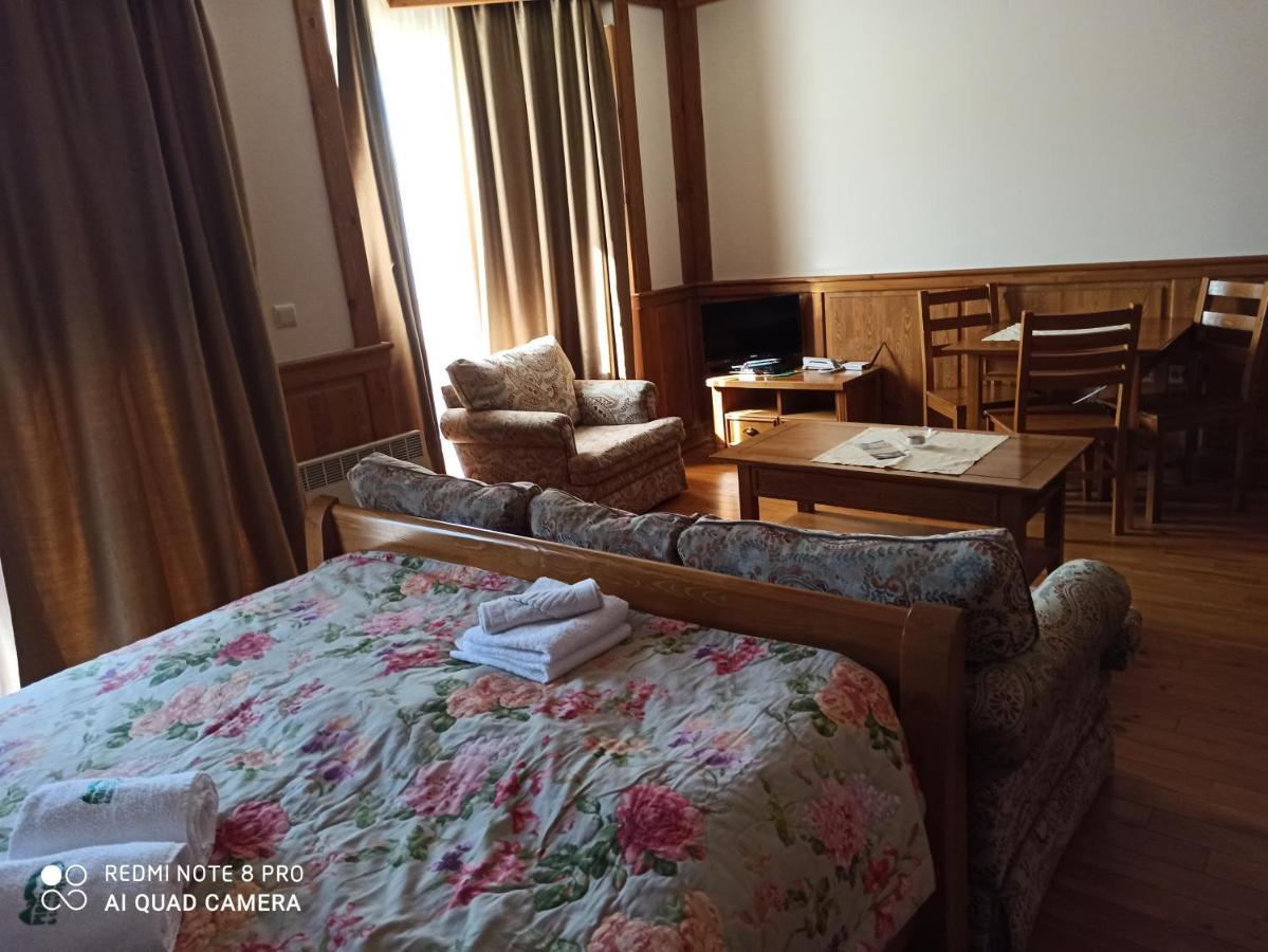 Mountain View Private Apartments In Pirin Golf And Spa Resort ラズロク エクステリア 写真